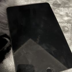 iPad Mini 5th Gen 