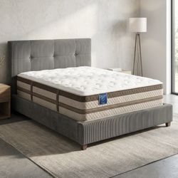 Orthopedic Firm Mattress Queen size Brand new 