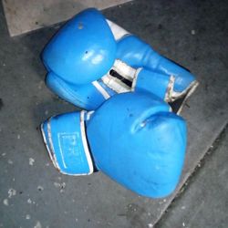 Boxing Gloves 