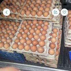 Huevo De Rancho. Caja Con 30 Huevos 🥚 $15. Pilsen Chicago 