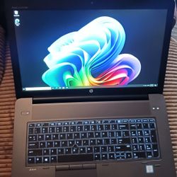 64 GB RAM 17.3" 1080P FHD LCD Intel Core i7 3.9 GHz Turbo 1 TB SSD/HDD Nvidia 6 GB DDR5 Graphics Windows 11 Professional 