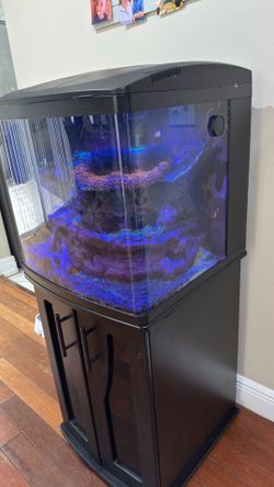 Saltwater Aquarium 32gal