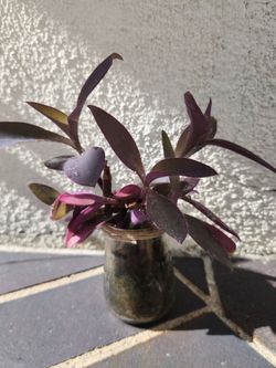 Purple Heart in Upcycled Baby Food Jar