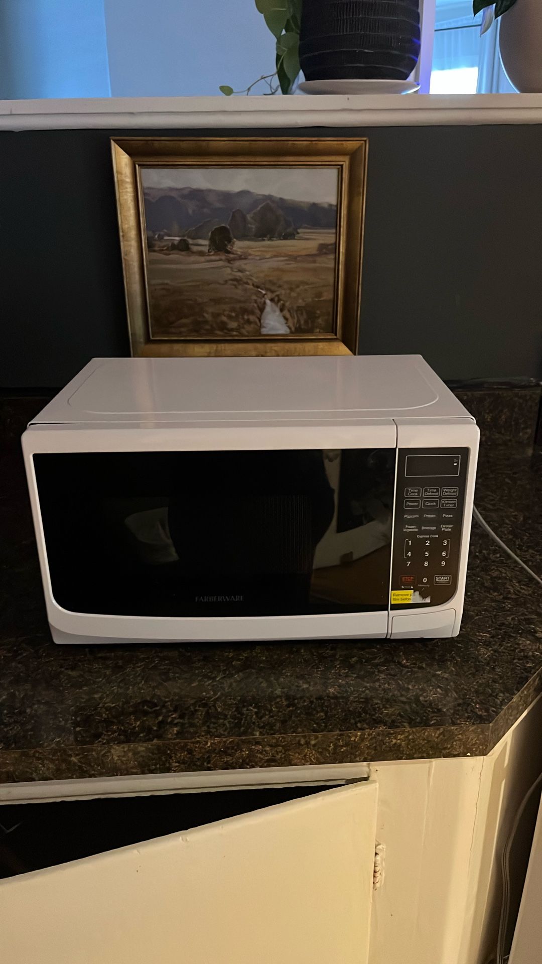 Microwave 