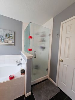 Glass Shower Door