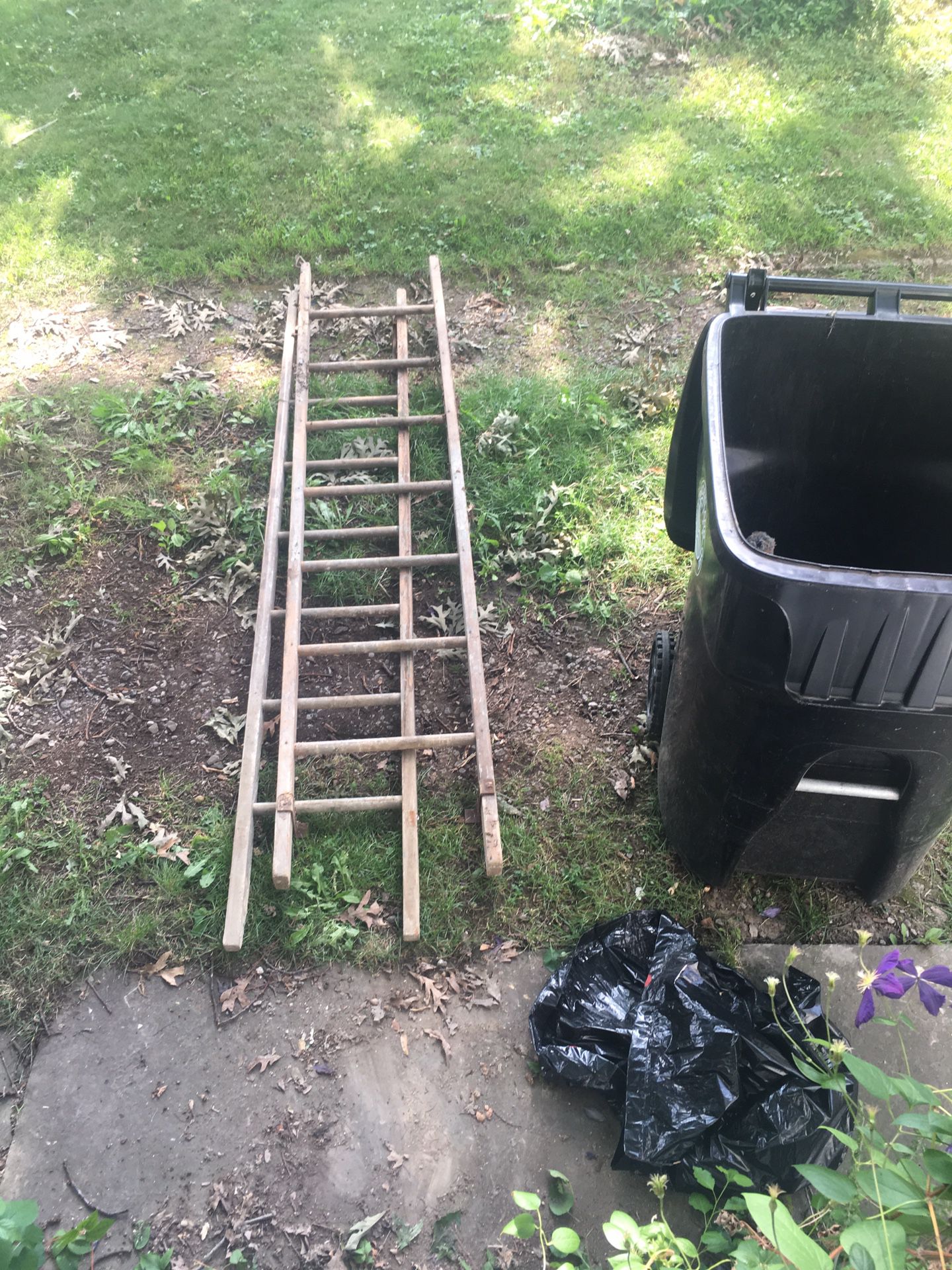 Vintage ladder equipment. There is an old extension ladder the length of my front porch as well. All goes to best offer.