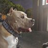 Cooper