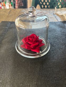 Glass Bell Jar