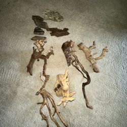 Reptile Supplies 