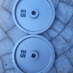 25lbs Weights 