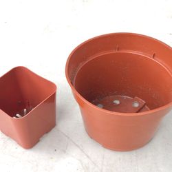 Plastic nursery pots for sale 2” and 4”