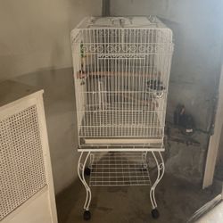 Big Bird Cage