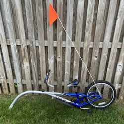 Trek Single Speed Trail-A-Bike