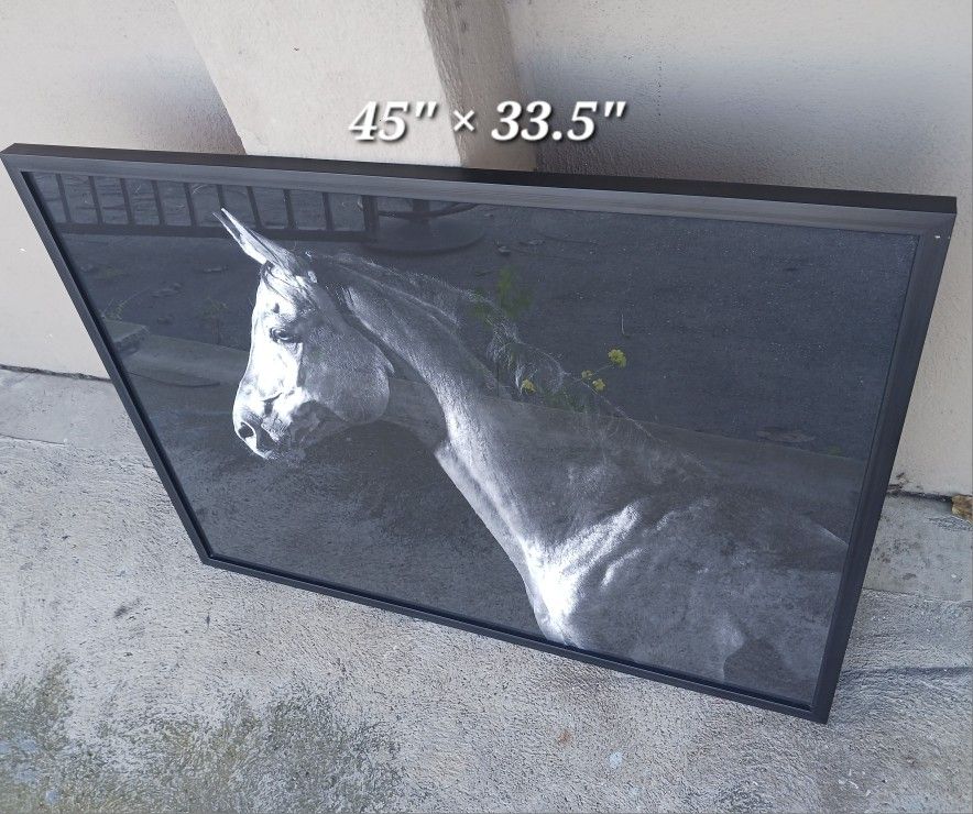Large Black And White Horse Art