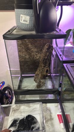 Tank