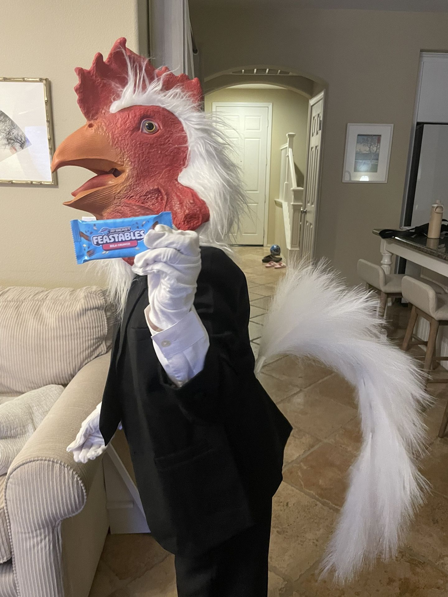 Chicken Man Costume Kids Size 12