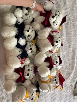 Graduations Bears