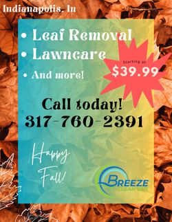 Leaf Removal, Lawn care And More!
