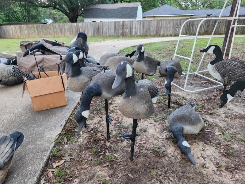 Decoys