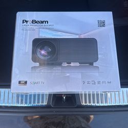 ProBeam Projector With The Digital Projector Lock Screen