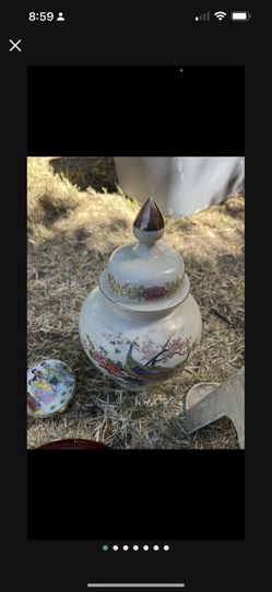 Peacock  Vase