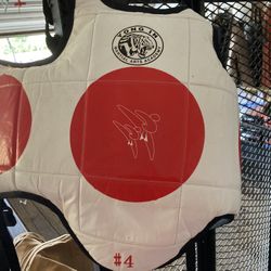Kids Body Protector (mma/Kung Fu)