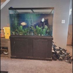 150 Gallon Tank 