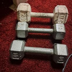 2 10lb Dumbells And 1 20lb Dumbell