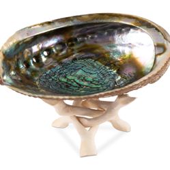 New In Box: Natural Abalone Shell 6.5”  w Wooden Stand -Incense Holder & Sage Smudge Bowl