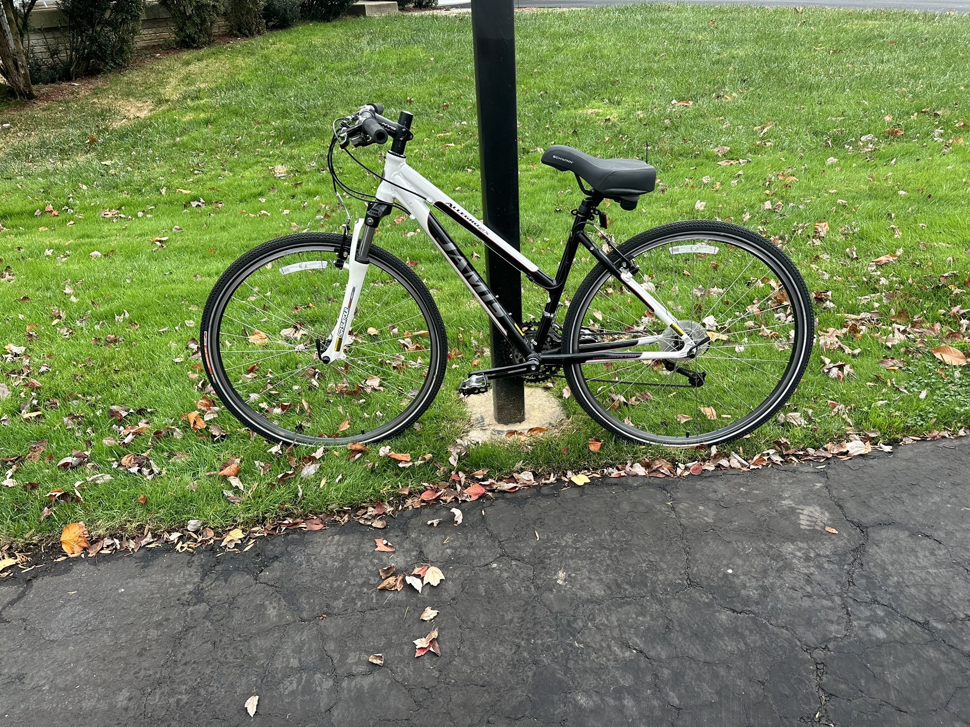 Women 10 Speed Jamis Allegro 3X Bike