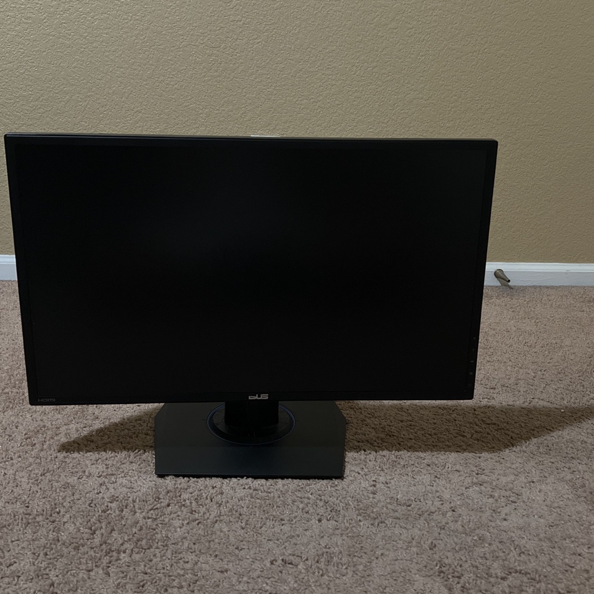 Asus Monitor 