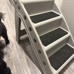 Dogs Stairs