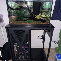 20 gallon fish tank