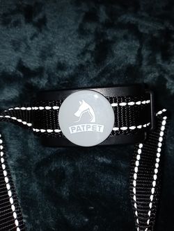 Patpet Dog Training Shock Collar with Remote