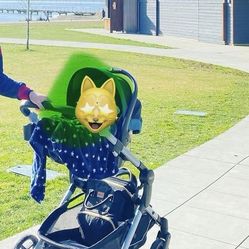 Graco Stroller Infant/Toddler