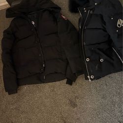 Canada Goose & Moose knuckle
