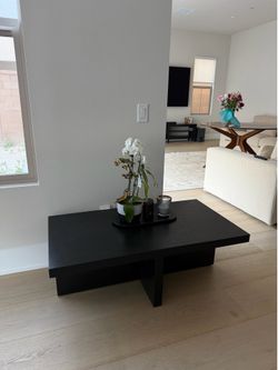 Modern Black Wood Coffee Table