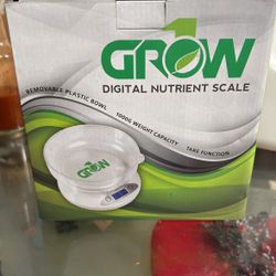 Digital Scale