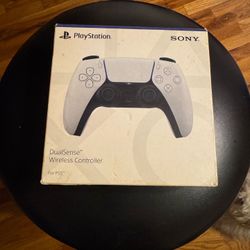 PS5 DualSense Controller