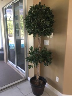 Topiary tree in decorative pot with lights