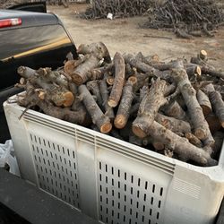 Firewood
