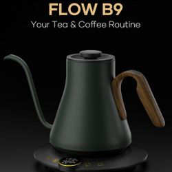 Cocinare Electric Kettle 