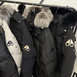 Moose Knuckles Jackets 