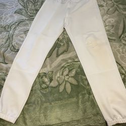 Mizuno Baseball Pants