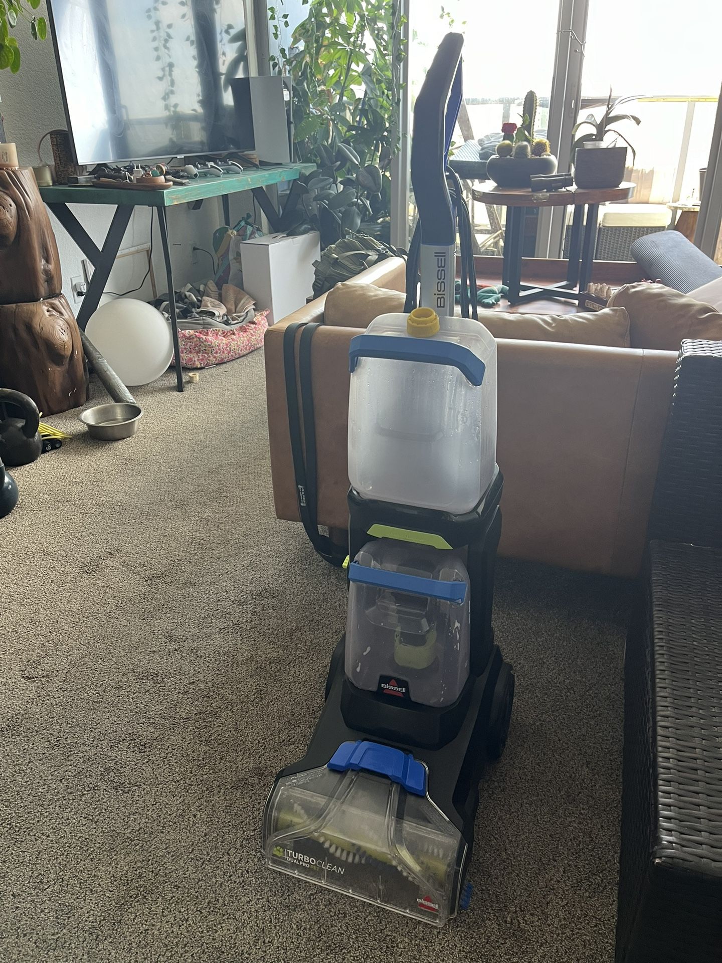 Carpet Cleaner (BISSELL)