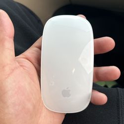 Apple Mouse 