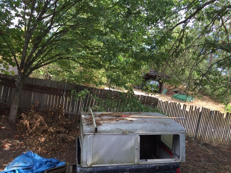 6ft camper shell