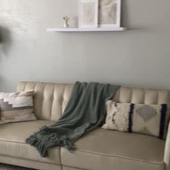 Convertible Sleeper/ Sofa For SALE (Excellent Condition, Local Pickup Only)