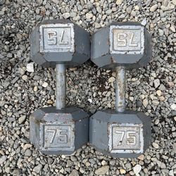 Dumbbells 2x75 Lbs 