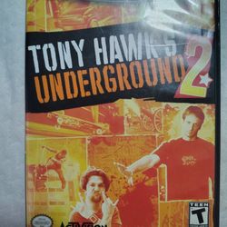 Tony Hawk Understand 2 